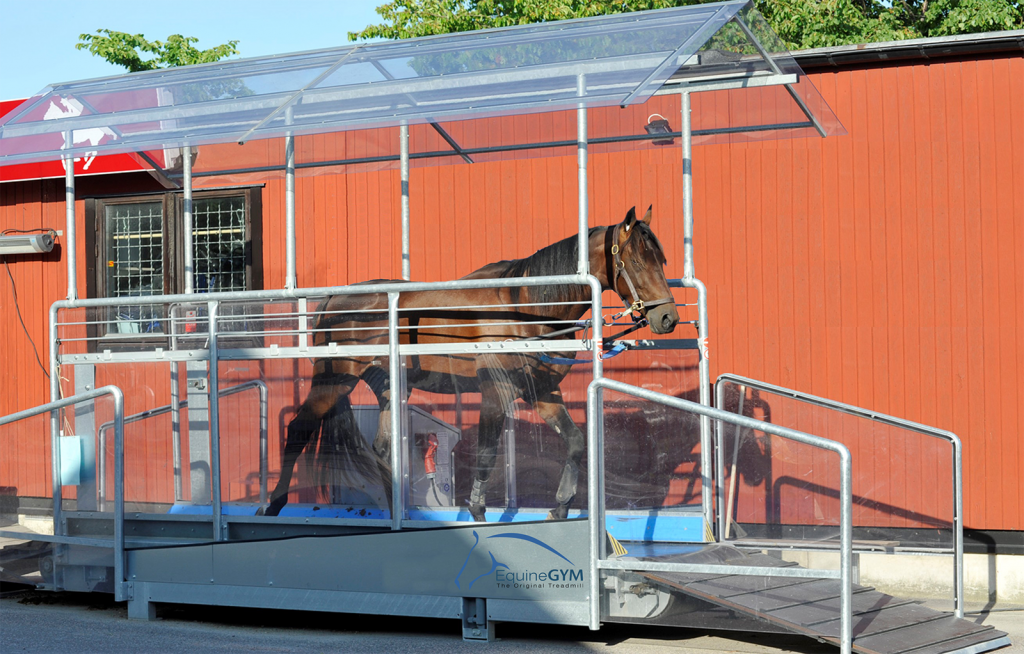 EquineGym horse treadmill from Liberty Horse Exerciser. This shows model T2 including roof.