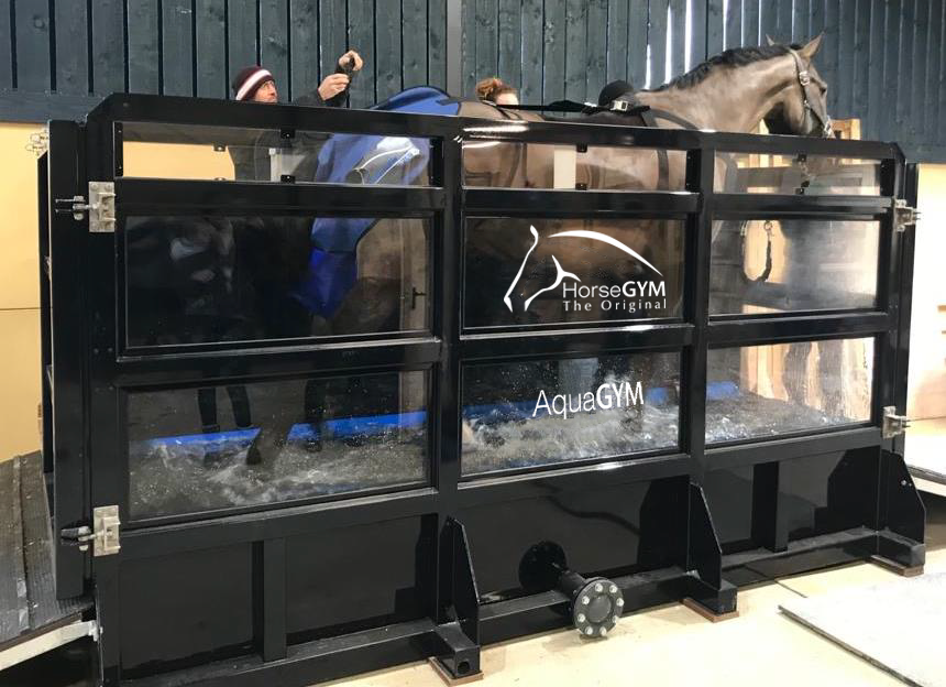AquaGYM Aqua trainer treadmill by HorseGYM.