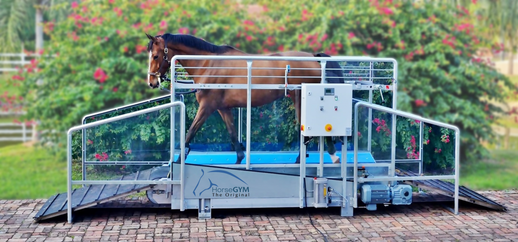 HorseGym equine treadmill from Liberty Horse Exerciser. This shows model S3.