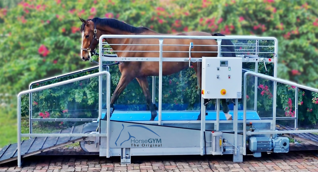HorseGym equine treadmill from Liberty Horse Exerciser. This shows model S3.